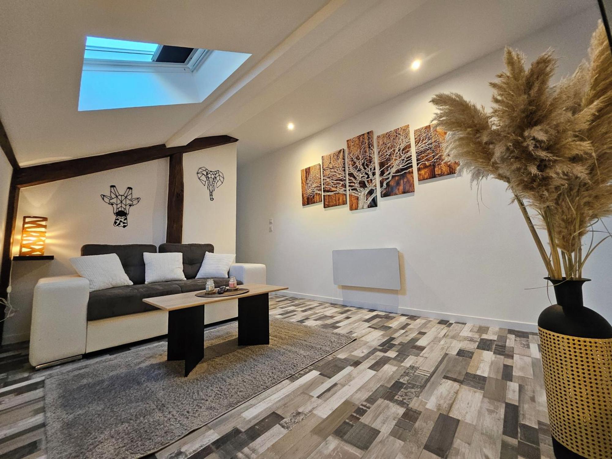 Joli Appartement Mansarde Decize Buitenkant foto